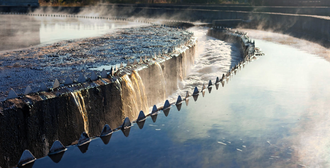 Sewage Sludge Reduction Solution