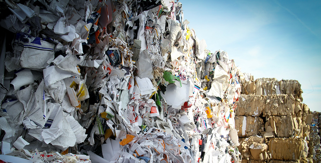 Waste Paper Recycling Solution